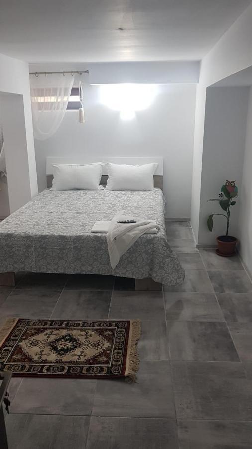 Casa Andrei Techirghiol 호텔 외부 사진